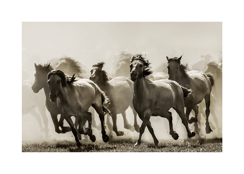Cuadro caballo en estampida sepia