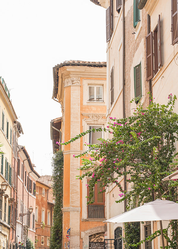 Cuadro de ciudades con fachada romana y buganvillas