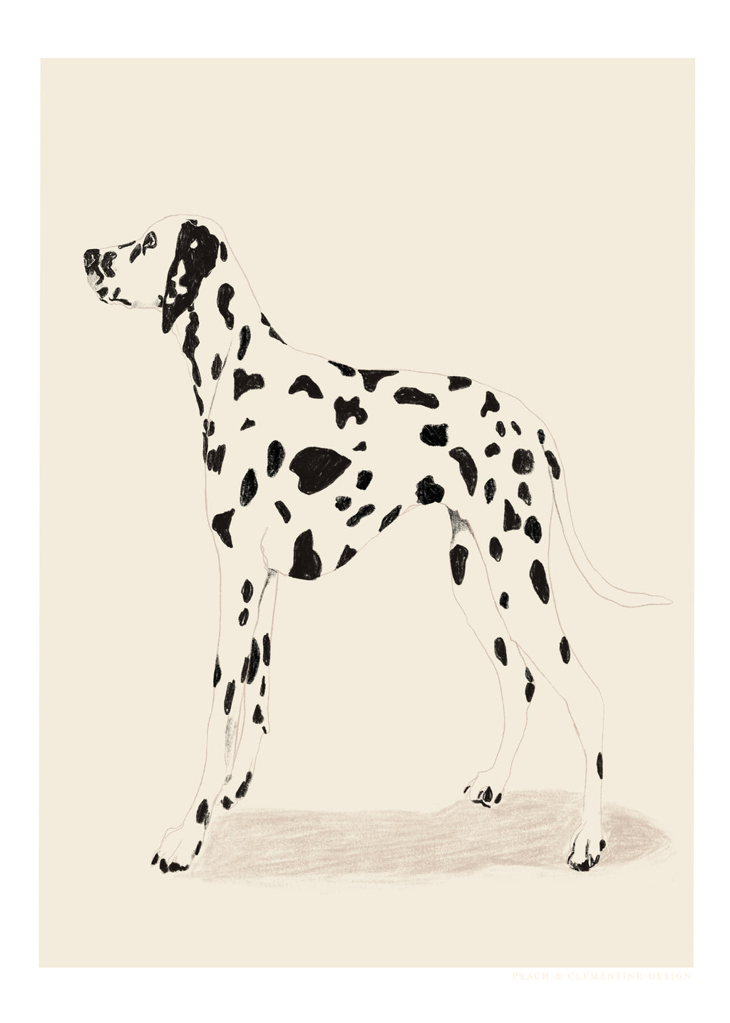 Pandc Dalmation - Unframed art print