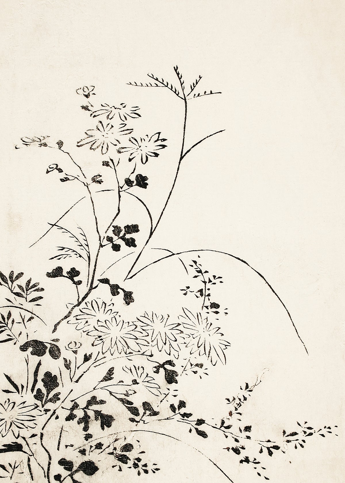 Autumn Flowers and Grasses (1762) - Unframed art print