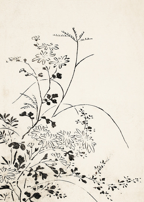 Lámina botánica en tinta japonesa minimalista