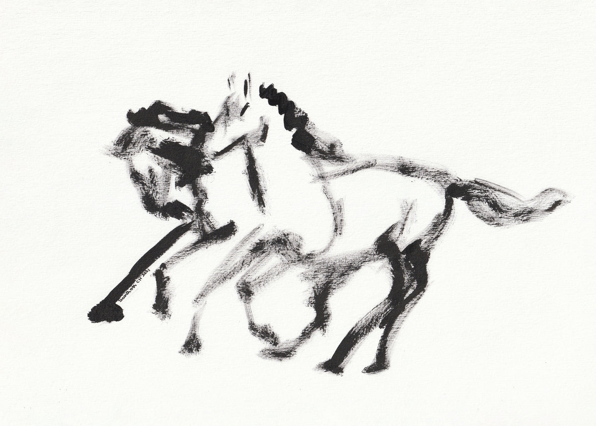 Swift Shadows - Unframed art print
