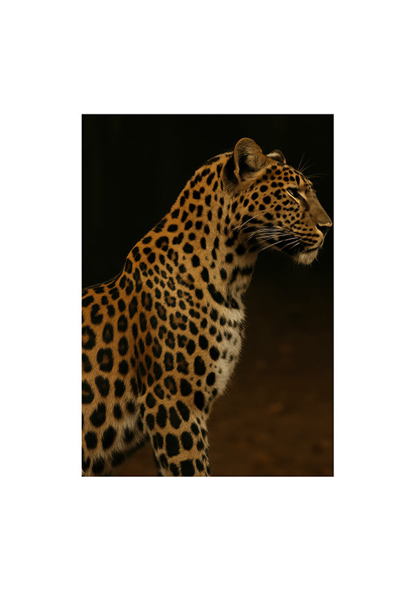 Cuadro leopardo perfil en estudio