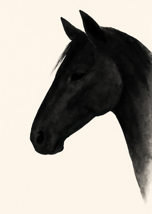 Cuadro perfil de caballo negro