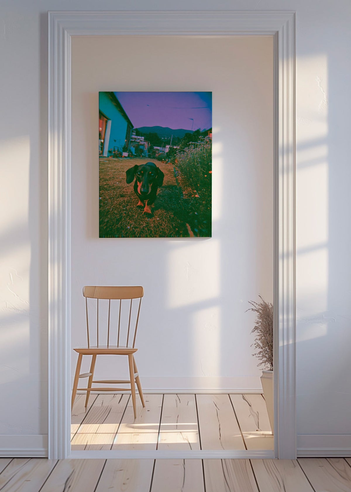 Cuadro perro al atardecer – Canvas
