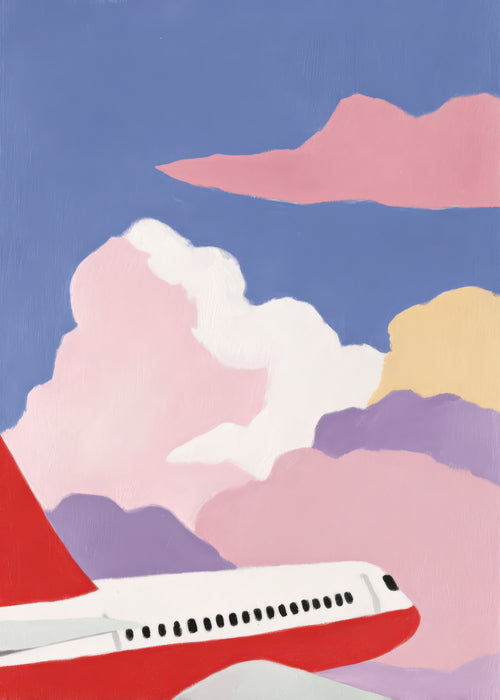 Pink Flight - Unframed art print