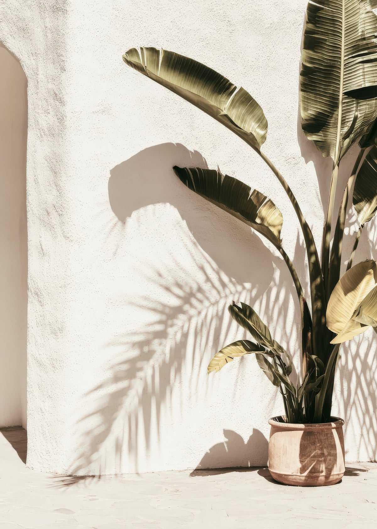 Tropical Corner - Unframed art print