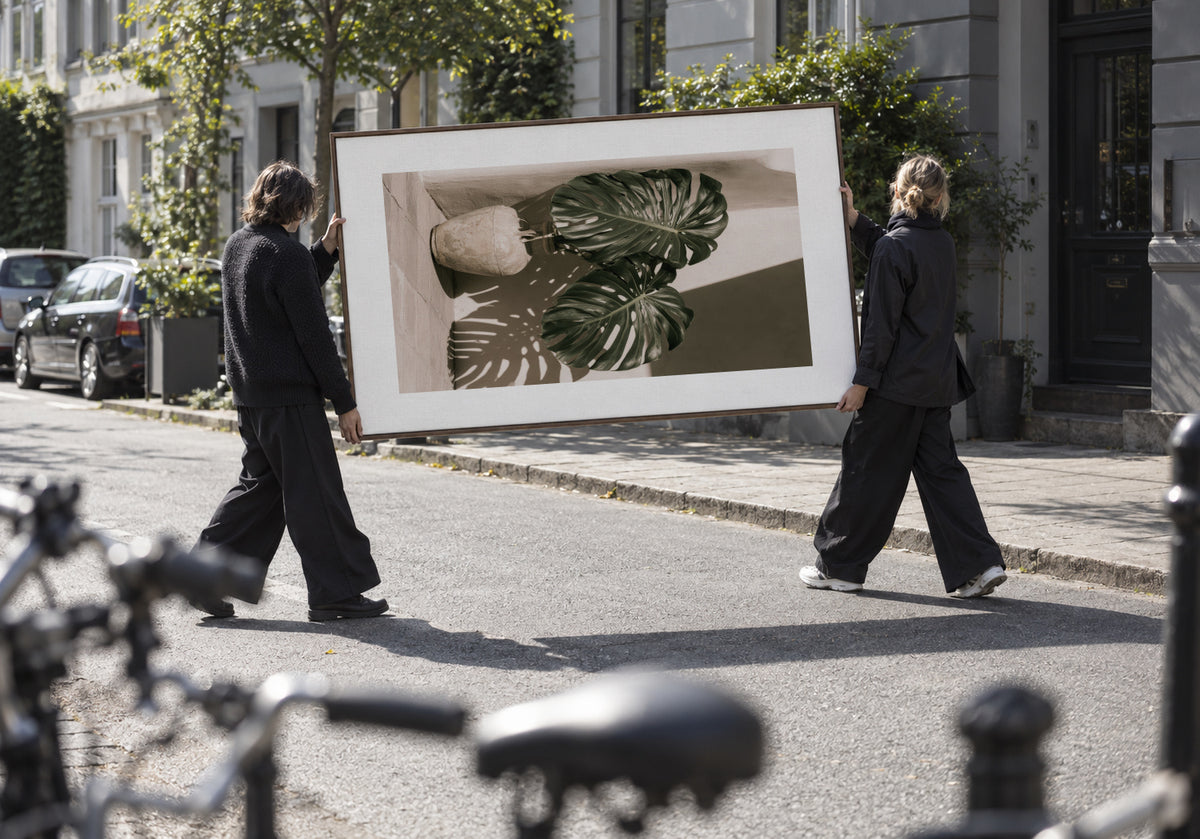 Monstera Shadow - Framed canvas in an interior
