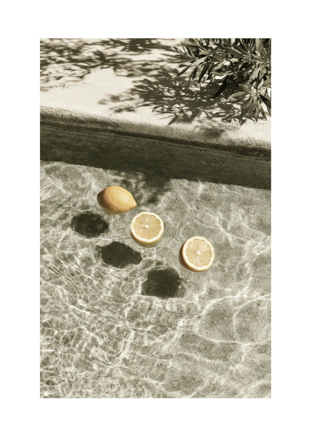 Floating Lemons - Unframed art print